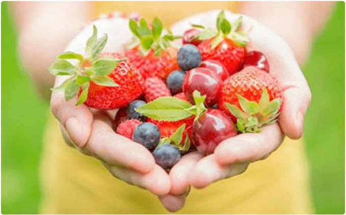 fruits
